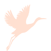 sequoia schule saverne enfants 20